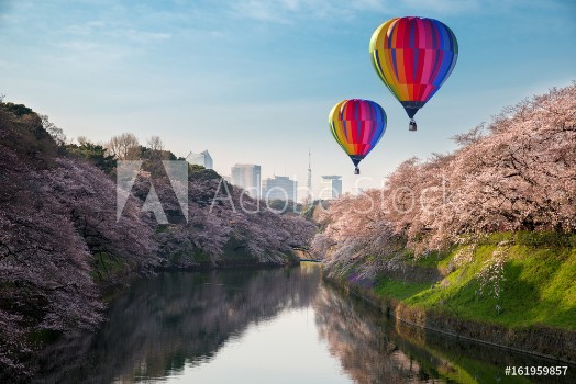 Picture of View of massive cherry blossoming in Tokyo Japan as background Photoed at Chidorigafuchi Tokyo Japan